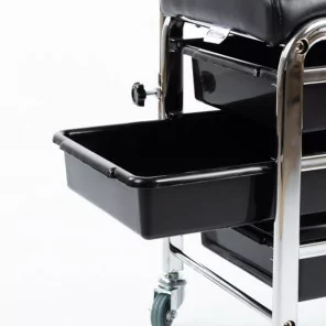 Professional cart with shelves
