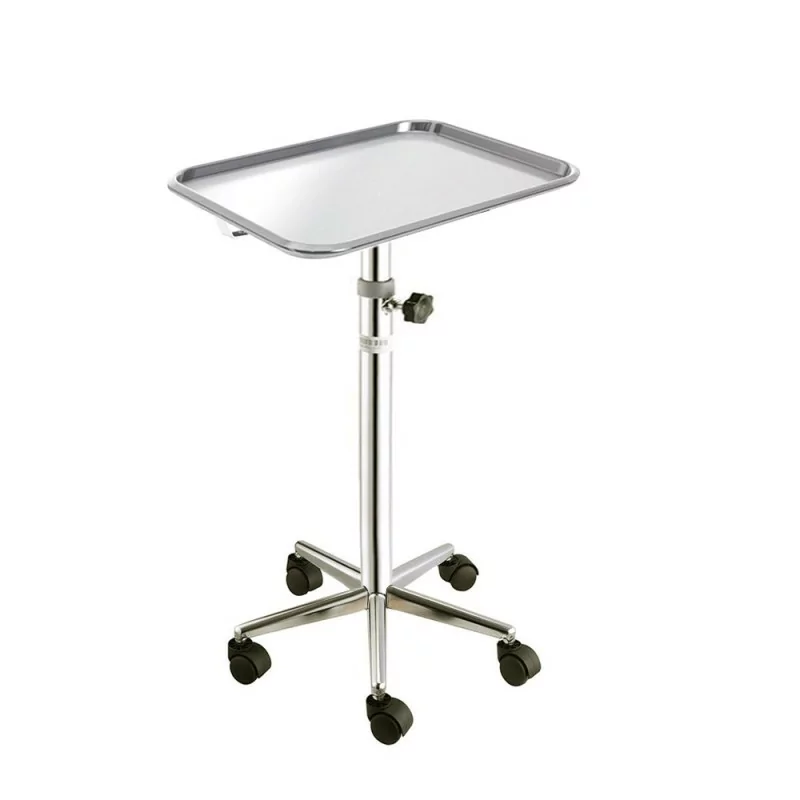 Mobile stand with removable tray